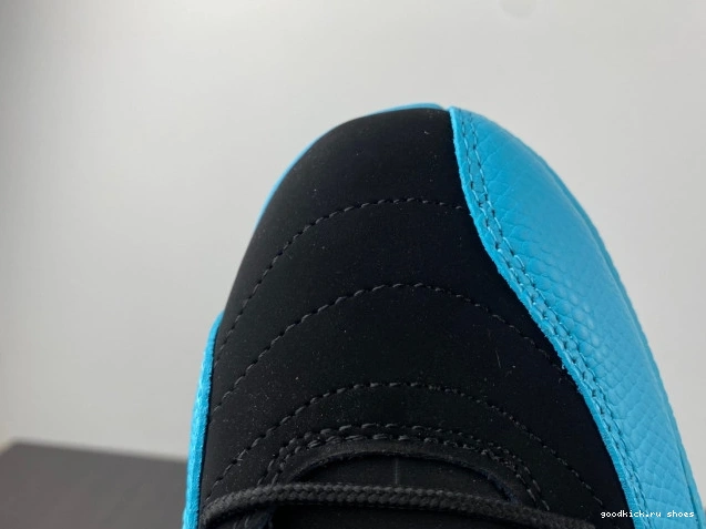 Gamma Retro 130690-027 Blue Jordan 12 0711